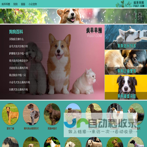 疯乖乖圈宠物网_宠物猫狗价格特点图片_专业宠物平台
